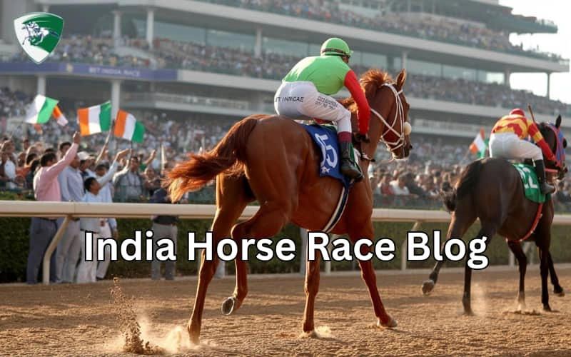 india horse race blog