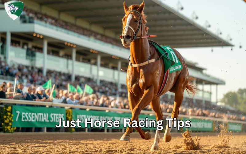 just horse racing tips