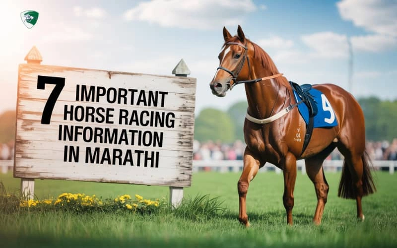 horse racing information in marathi
