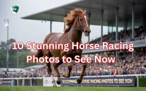 horse racing photos