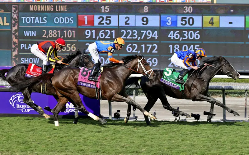 horse games at bet india race body image