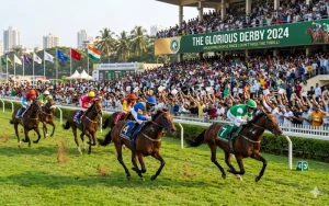 upcoming horse race at Bet India Race featured image